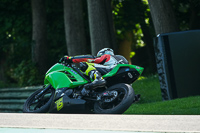 Advanced Group Green Bikes